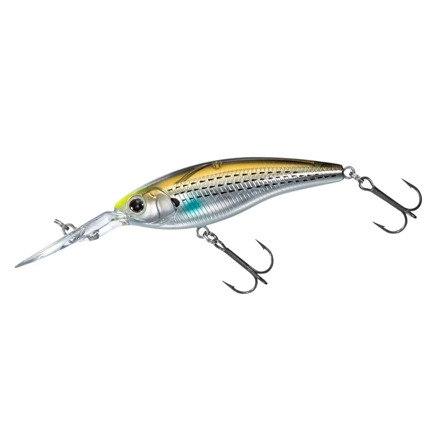 バス釣り　シャッド　セット Amazon.co.jp: ダイワ(DAIWA) バスルアー STEEZサイレント