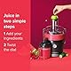 nutribullet Entsafter, JB-BX044D-23 Zentrifugalentsafter, 800 W, Graphit