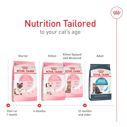 Royal Canin Feline Health Nutrition Mother & Babycat Queen Dry Cat Food, 6 lb Bag - Image 6