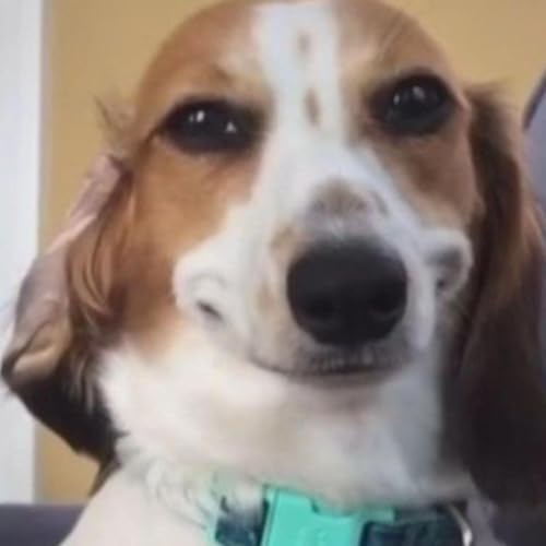 Things That Make Me Wonder cover art