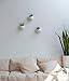 Mkono 4 Inch Wall Mounted Planter Round Ceramic Hanging Plant Holder Decorative Flower Display Vase Succulent Pots for Indoor Plants, Set of 3, White (Plants NOT Included)