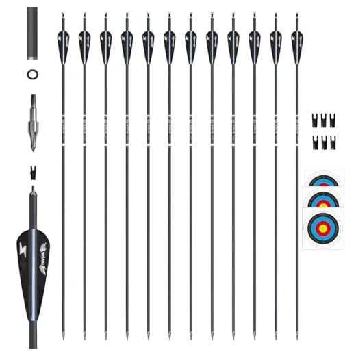 biubiusot 12er Pfeile Carbonpfeile 30 Zoll für Bogenschießen Bogenpfeile Jagdpfeile für Recurvebogen,Jagd Schießen Bogen (Schwarz)