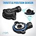 Somusen TPS Throttle Position Sensor and IAC Idle Air Control Valve IACV Compatible with Chevy LS1 LS2 LS6 LSX LS7 Throttle Body