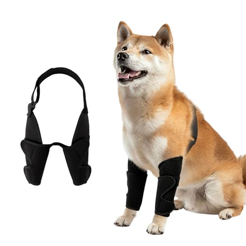 Ciomiliaro Front Leg Support for Dogs, Front Leg Knee Support, Pet Adjustable Elbow Support, Gentle and Breathable, Easy to Use, Ideal for Everyday Use and Walk, M