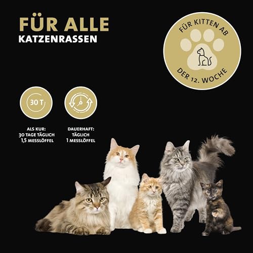 Peticare Diät Schlank Vital Pulver für Katzen | Unterstützt Abnehmen-Prozess und Gewichtskontrolle | Verringert Übergewicht & stärkt Sättigung | natürliches Ergänzungsfutter | petCat Health 3606