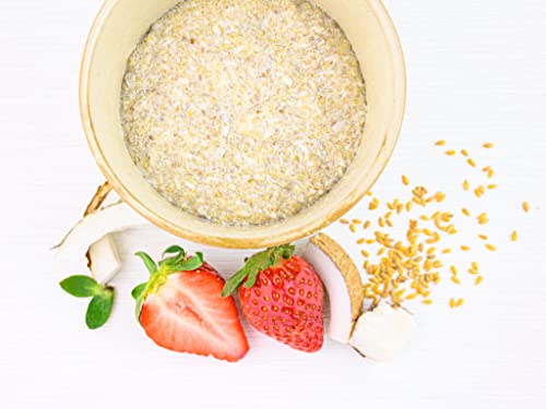 1x KETOFAKTUR® PORRIDGE No30 - pur I 300g I 95% weniger Kohlenhydrate I KETOGEN | GLUTENFREI | VEGAN I Low Carb High Fat Frühstücksbrei ohne Zucker I Paleo Cover