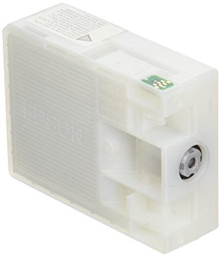 Epson Cartouche T580700 Grise Cartouche d'encre pour imprimantes Noir Clair 125 mm 31 mm 121 mm