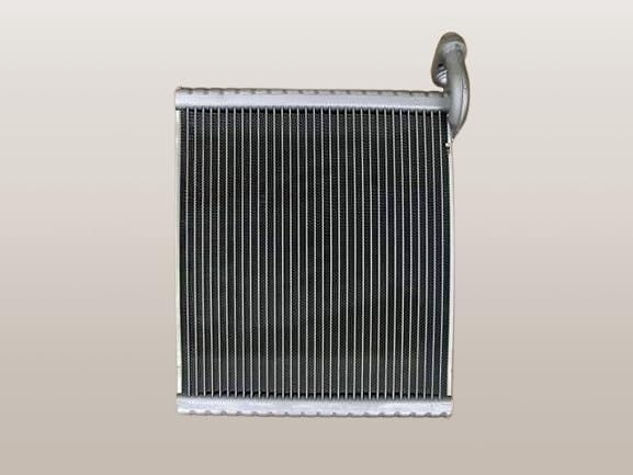 t*o様 タデスミレ こ*こ様 タデスミレ タデスミレ| 日本まるごと生き物図鑑