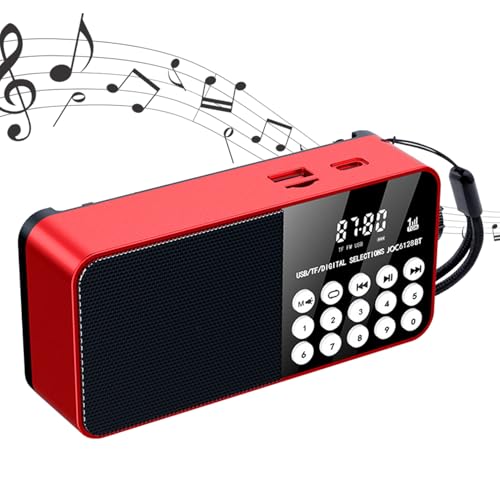 Radio numérique rechargeable AM FM avec prise casque et alimentation piles