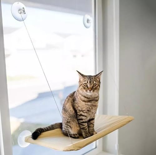 Cama de Janela Suspensa para Gatos com Ventosa