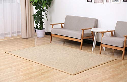 LIVEINU Sisal Natur Teppich mit rutschfest Sisalteppich Modern Hochwertige Bordüre Flachgewebe...