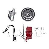 Electric Starter Motor Kit,Electric Start Kit Flywheel Starter Motor Engine Fit for Honda GX240 8HP and GX270 9HP Engines -Starter Motor, Charging Coil, Ignition, Key Switch Box