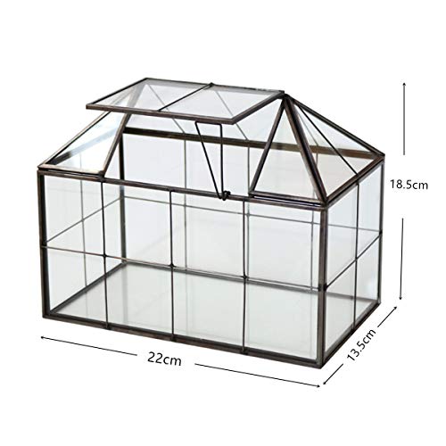 Humeng Terrarium Grande Vetro Trasparente di