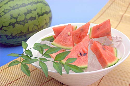 2箱★小玉スイカ秀Sサイズ6玉×2箱【送料無料】小玉スイカ6玉入2箱計12玉 楽天市場】【送料無料】 和歌山県産 小玉すいか （こだま西瓜