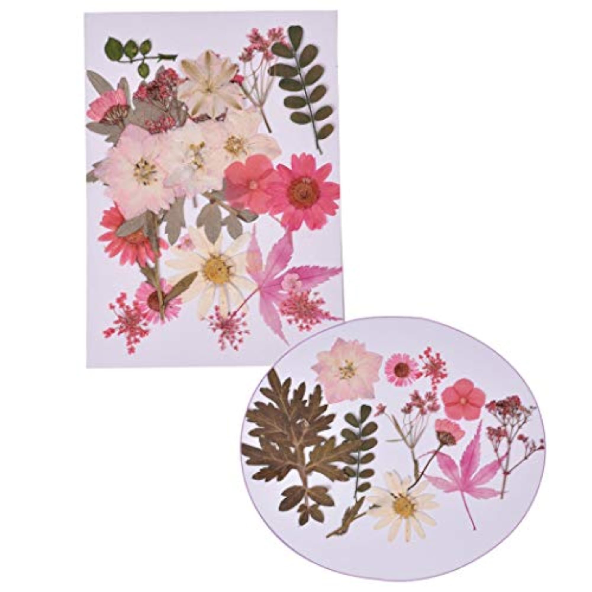 Dried Pressed Flowers Assorted Resin Craft Bookmark