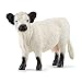 Produktbild SCHLEICH 13960 Galloway Kuh, ab 3 Jahren, Farm World - Spielfigur, 4 x 13 x 9 cm