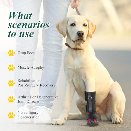 Fußbandage zum Anschnallen, keine Knöchelschuhbandage für Hunde – Korrektive Hundeschuhe zum sicheren Anheben der Zehen bei Fußproblemen, Arthritis und Verbesserung des Gehgangs bei Hunden (L)