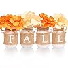 Falldecorforhomeautumnthemedmasonjarscenterpiecedecorationsperfectforthanksgivingdecorations4packsfallcolorpintmasonjarswithfallonjutecover  Urban Country Home Decor Fall decor for home autumn themed mason jars centerpiece decorations perfect for thanksgiving decorations 4 packs fall color pint mason jars with fall on jute cover  urban country home decor