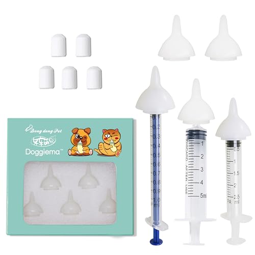 How To Get A Cat To Gain Weight Expert Tips to Help Your Pet Thrive