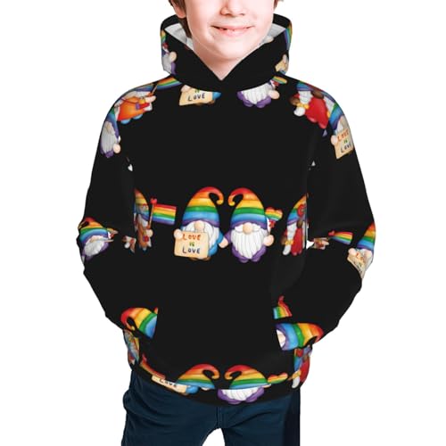 Lgbt Gnome Kid Hoodies Boys Sweatshirts Girls Pullover with Pocket3