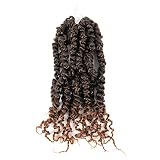 10 Inch Pre-twisted Passion Twist Crochet Hair 1 Packs Pre-looped Passion Twists Crochet Braids Synt