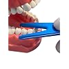 Dental Floss Holder (Blue, Yellow, Green)
