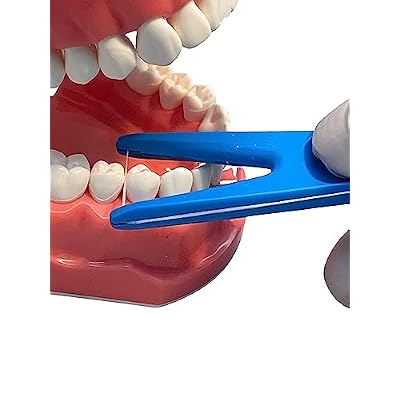 Dental Floss Holder (Blue, Yellow, Green)