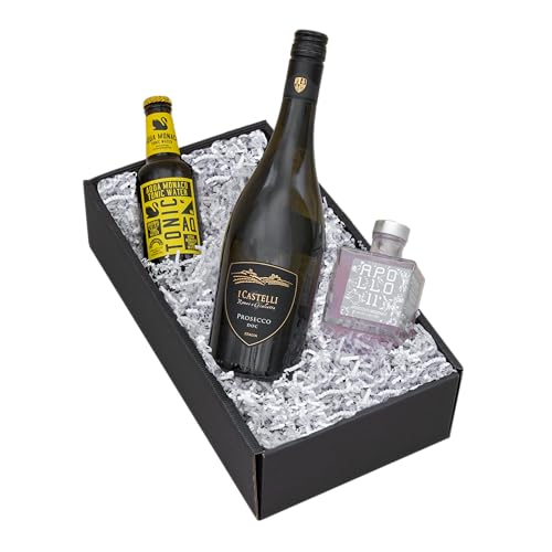 The Wine Guys Geschenktset Aperitivo Italiano: I Castelli Prosecco Frizzante & Apollo 11 Aperitif Set The Wine Guys Geschenktset Aperitivo Italiano: I Castelli Prosecco Frizzante & Apollo 11 Aperitif Set