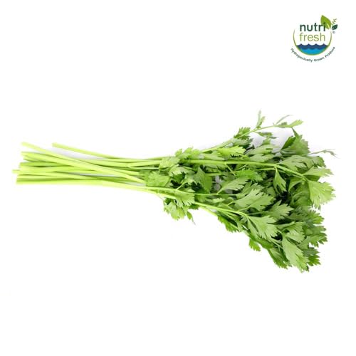 Image of Nutrifresh Celery Hydroponically Grown (Appro.100gm) Pack