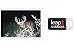 Leap Outdoors Trail or Game Camera Viewer SD Card Reader for Apple iPhone or iPad | Works with Cases | Reads SD, SDHC, and Micro SD Cards