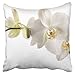 Copri Cuscini Fiore di Orchidea Bianca di Dendrobium Federe Astratta Federa per Divano, Regalo, Soggiorno, 45X45Cm