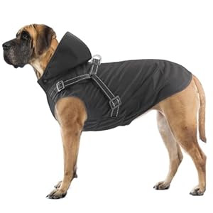 Mosucoirl Dog Raincoat, Waterproof Dog Hoodie, Reflective Dog Raincoat with Hood, Adjustable Rain Jacket for Small, Medium and Large Dogs and Puppies (Black, M)