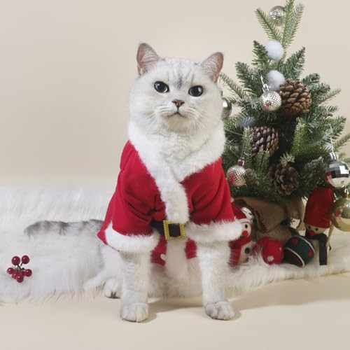 Disfraz para perro BAMY estilo Santa Claus talla S miniatura 2