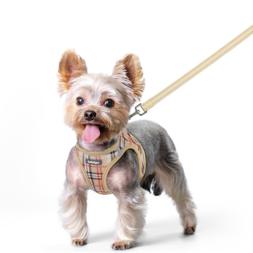 Image of rabbitgoo Dog Harness Small Sized and Leash Set, Step-in Puppy Pet Vest