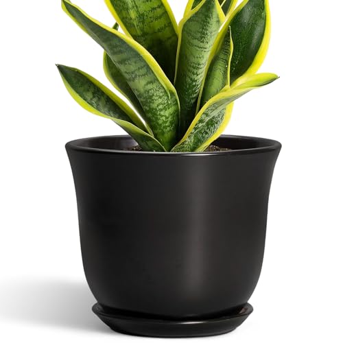 SUNPOTFOR 8 Inch Plant Pot, Ceramic Pots for Plants with Drainage, Black