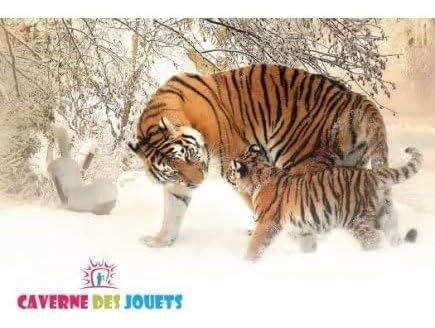 cavernedesjouets Reglettes cuisenaire 300 Pieces en Bois - batons de calcul - Jeu educatif Enfant - Set Apprendre + 1 Carte Tigre