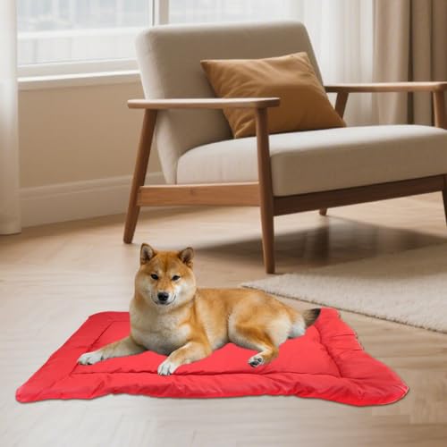 Panier d'extérieur pour chien imperméable pour protéger votre compagnon du sol humide
