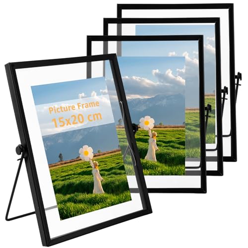 LOPYXBR 4 marcos de fotos de cristal de pie, 15 x 20 cm, marco de fotos de cristal negro A5, marco de fotos de metal retro, marco de cristal para fotos, DIY, flores prensadas, decoración de escritorio