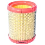 Castrol Filters CA0394 Air Filter