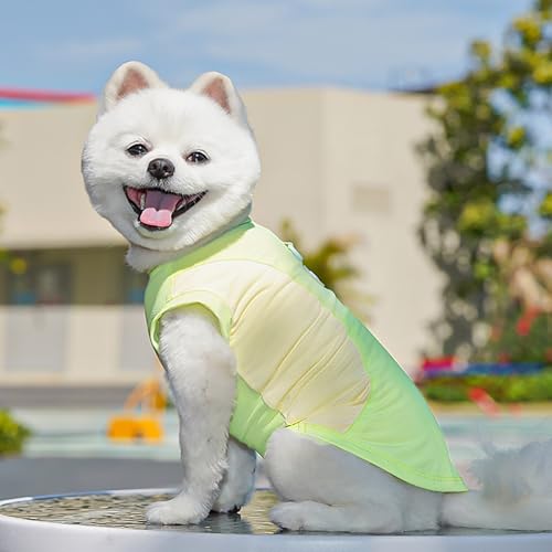 Kühlendes Sommer- T- Shirt für Hunde, Eisseide, atmungsaktiv, schnelltrocknend, für kleine und mittelgroße Hunde-6