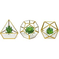 Mkono Artificial Succulent in 3 Pack Mini Glass Geometric Terrarium, Miniature Potted Faux Plant Bookshelf Desk Boho Office Room Decor for Women Girls Dorm Gift Idea, Gold