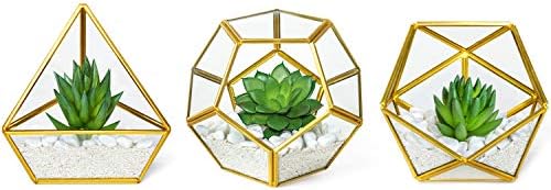 Mkono Artificial Succulent in 3 Pack Mini Glass Geometric Terrarium, Miniature Potted Faux Plant Bookshelf Desk Boho Office Room Decor for Women Girls Dorm Gift Idea, Gold