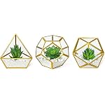 Fake Plants Ball