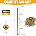 Lag Screws #14 X 6 Inch Washer Head –300 Pcs Structurall Wood Screws Torx Drive, Rust Resistant Epoxy Coated, Carbon Steel Heavy Duty Deck Screws for Decking, Framing, Fencing,Exterior Wood Projects