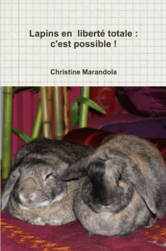 Lapins en liberté totale : c'est possible !