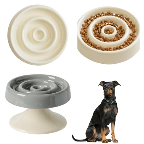 Lifetips W[}sV[ W[}s Lp X[t[h{E ؐ Hh~ ~ HZbg ^ L  􂢂₷ i-̌^^CvO[j