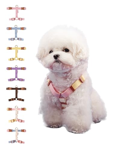 BODDLELANG H-Type Easy Walk Dog Harness for Medium Dogs No Pull | Escape Proof Harness for Dogs Puppies | Medium Puppy Harness for Puppy Training | Pet Dog Walking Harness Accessories (M2, Cosmos)