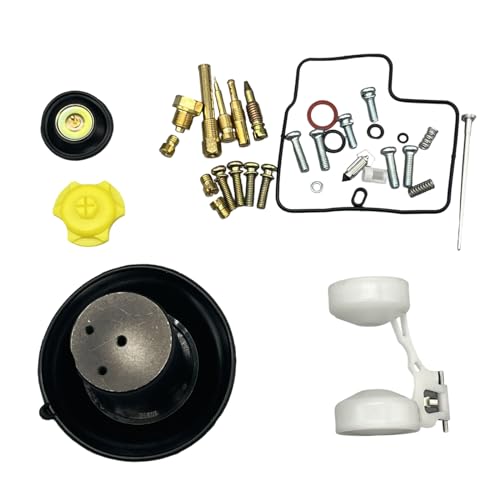 Carburetor Rebuild Kit with Plunger Assembly Float Fit for Honda PC800 1989-1998