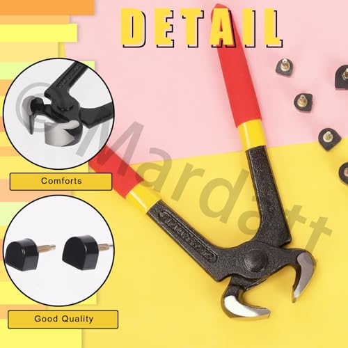 Image of 30 Pairs 5 Sizes High Heel Replacement Tips Pin Kit with 6 inch Heel Caps Remove Pliers, 8 /9 /10 /11 /12mm 2 Pins Diameter U Shape Dowels Heel Tips Shoes Heel Repair for Women