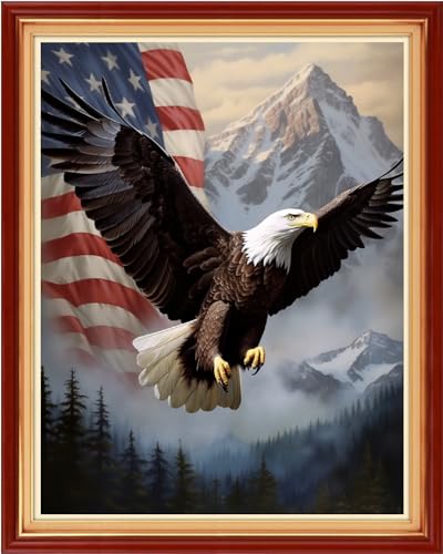 Image of Dimxvean Stamped Cross Stitch Kits,Cross Stitch Kits for Adults Beginners,Embroidery Kits Full Range of Cross Stitch Stamped Kits Needlepoint Kits Cross Stitch Patterns-Flag Eagle 16x20 inch